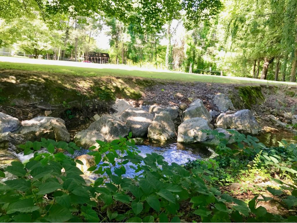 39 Jones Road Erwin, TN 37650 - Photo 29 of 34 Photo 29
