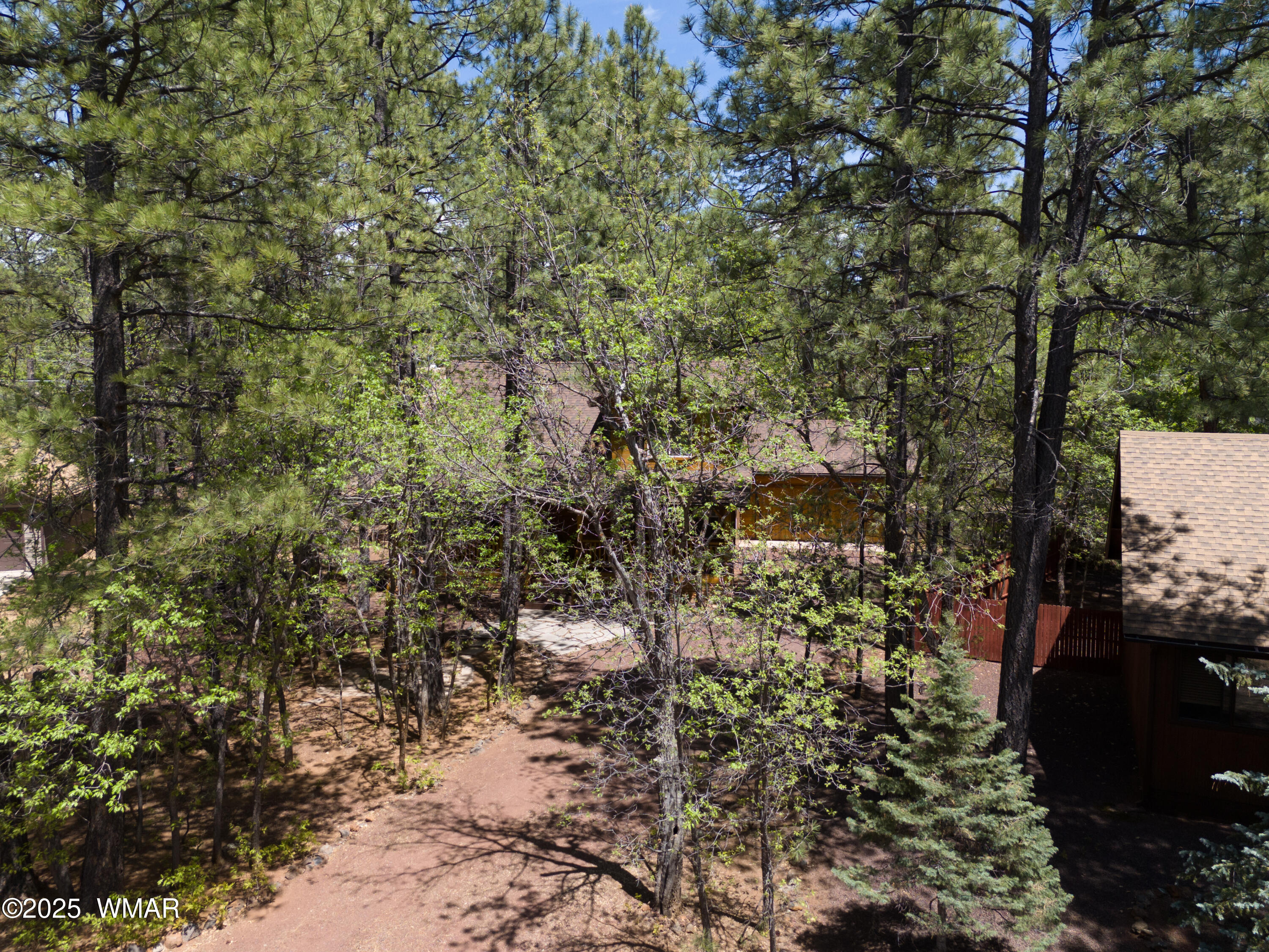 3589 Turkey Track Road Pinetop, AZ 85935 - Photo 33 of 43 DJI_20250528132853_0332_D