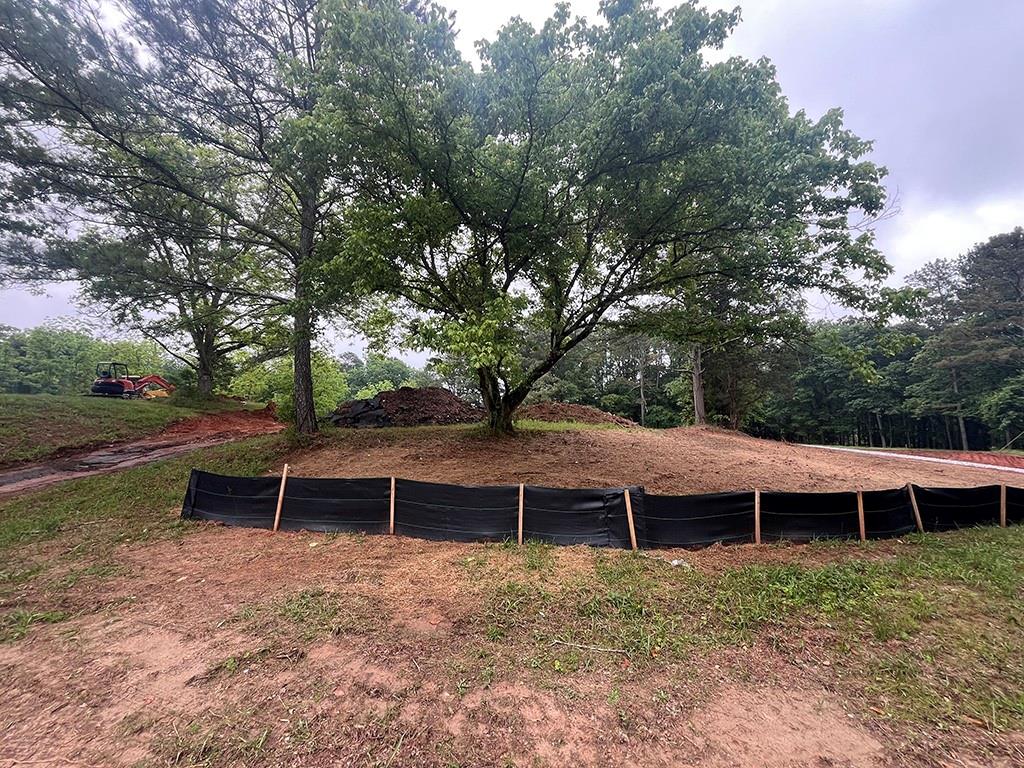 2226 Upper Burris Road Ball Ground, GA 30107 - Photo 53 of 65 a view of a house with a yard