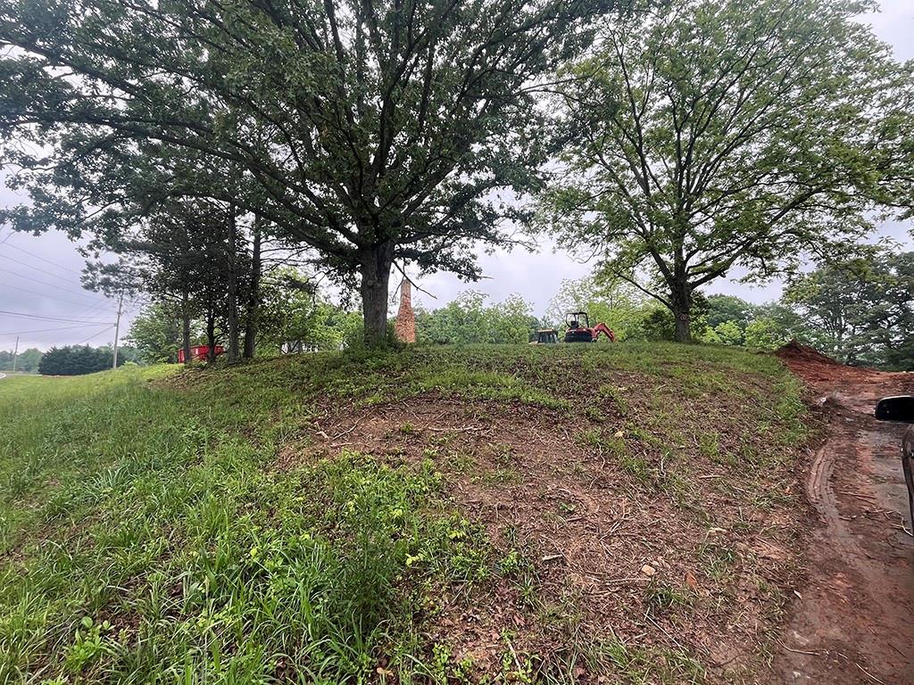 2226 Upper Burris Road Ball Ground, GA 30107 - Photo 54 of 65 a view of a field with trees