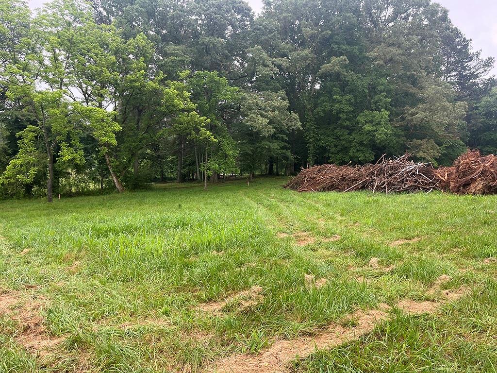 2226 Upper Burris Road Ball Ground, GA 30107 - Photo 60 of 65