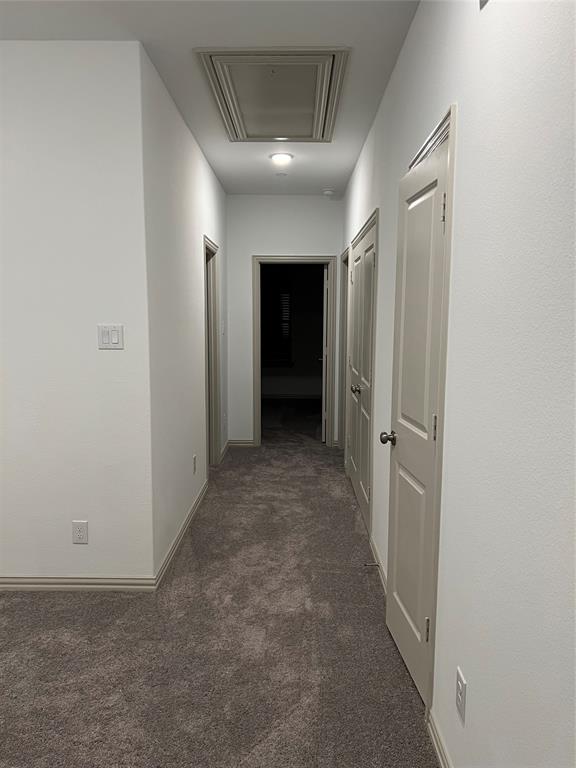 6041 Roper Road McKinney, TX 75070 - Photo 18 of 24 Hallway with neutral tone carpeting and crisp white walls