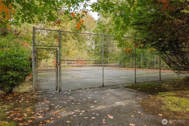a view of a yard with a tree