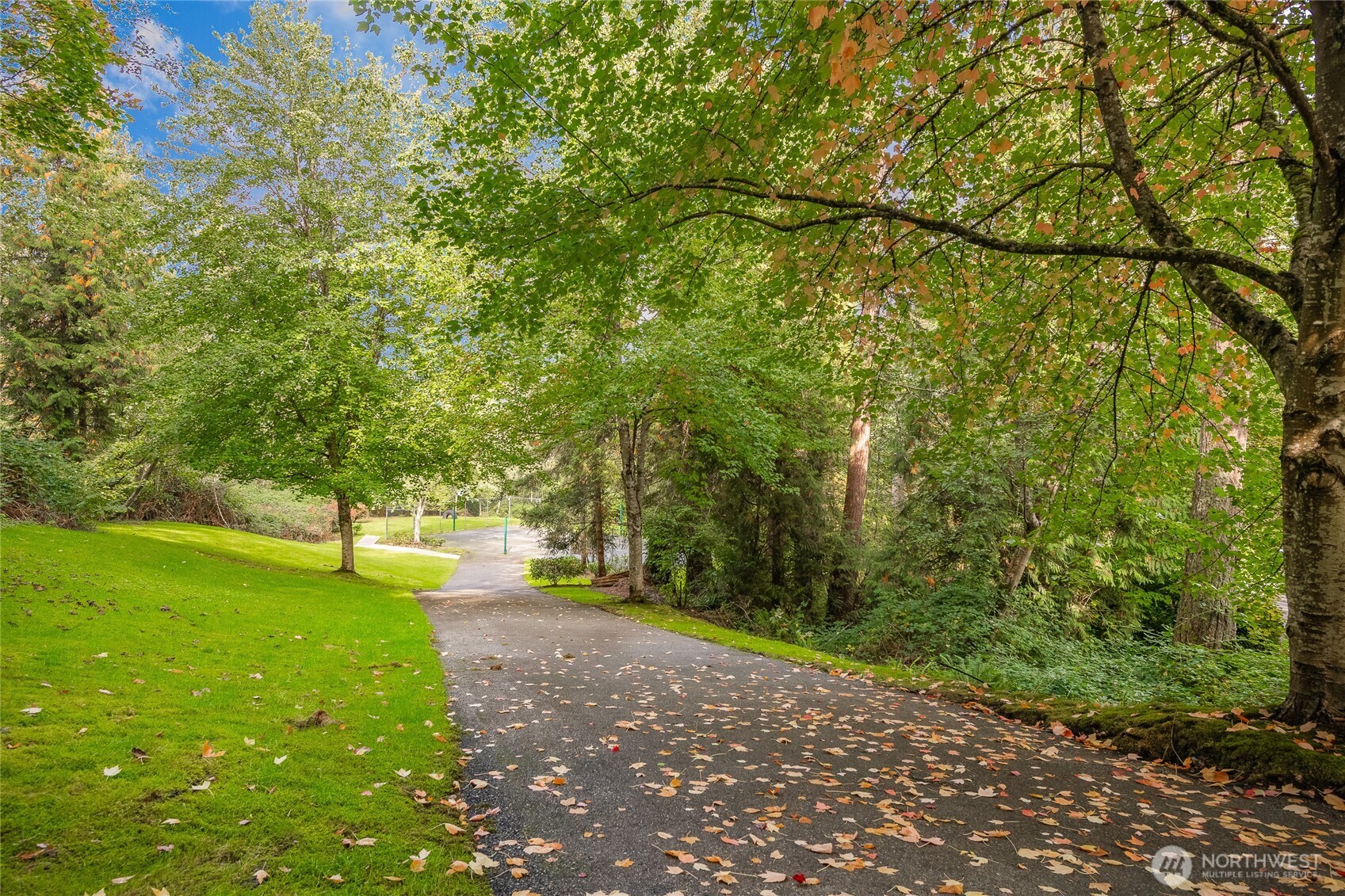 12120 Northeast 172nd Place, Unit L201 Bothell, WA 98011 - Photo 29 of 35 a view of a yard with a tree
