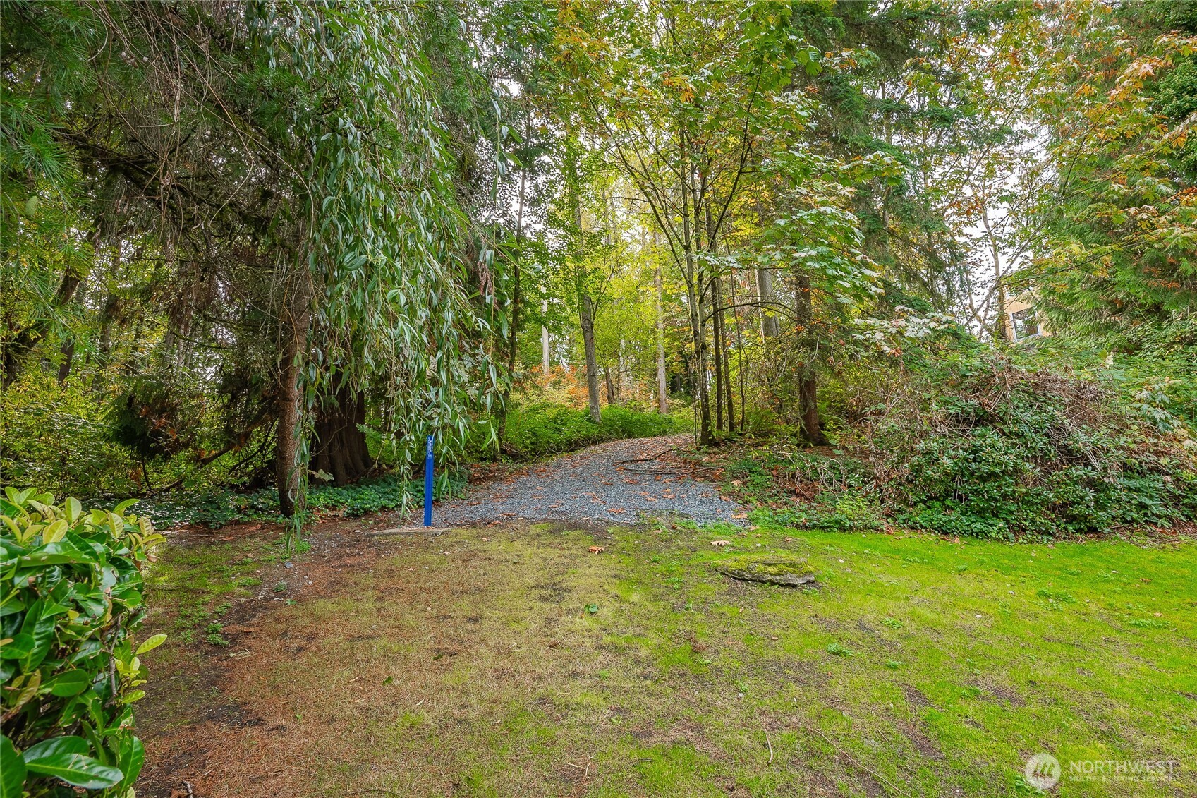 12120 Northeast 172nd Place, Unit L201 Bothell, WA 98011 - Photo 30 of 35 a view of backyard with green space