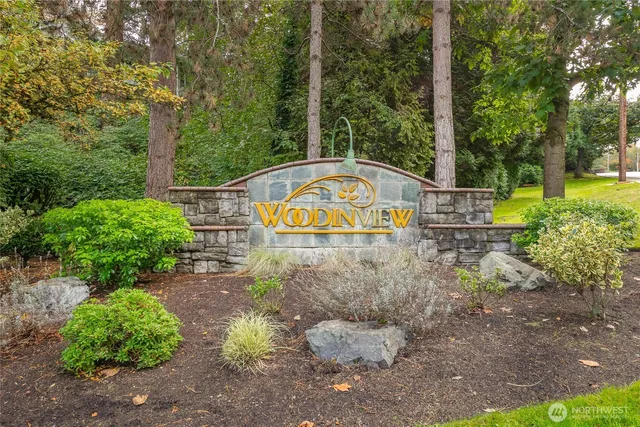 a view of city and mountain