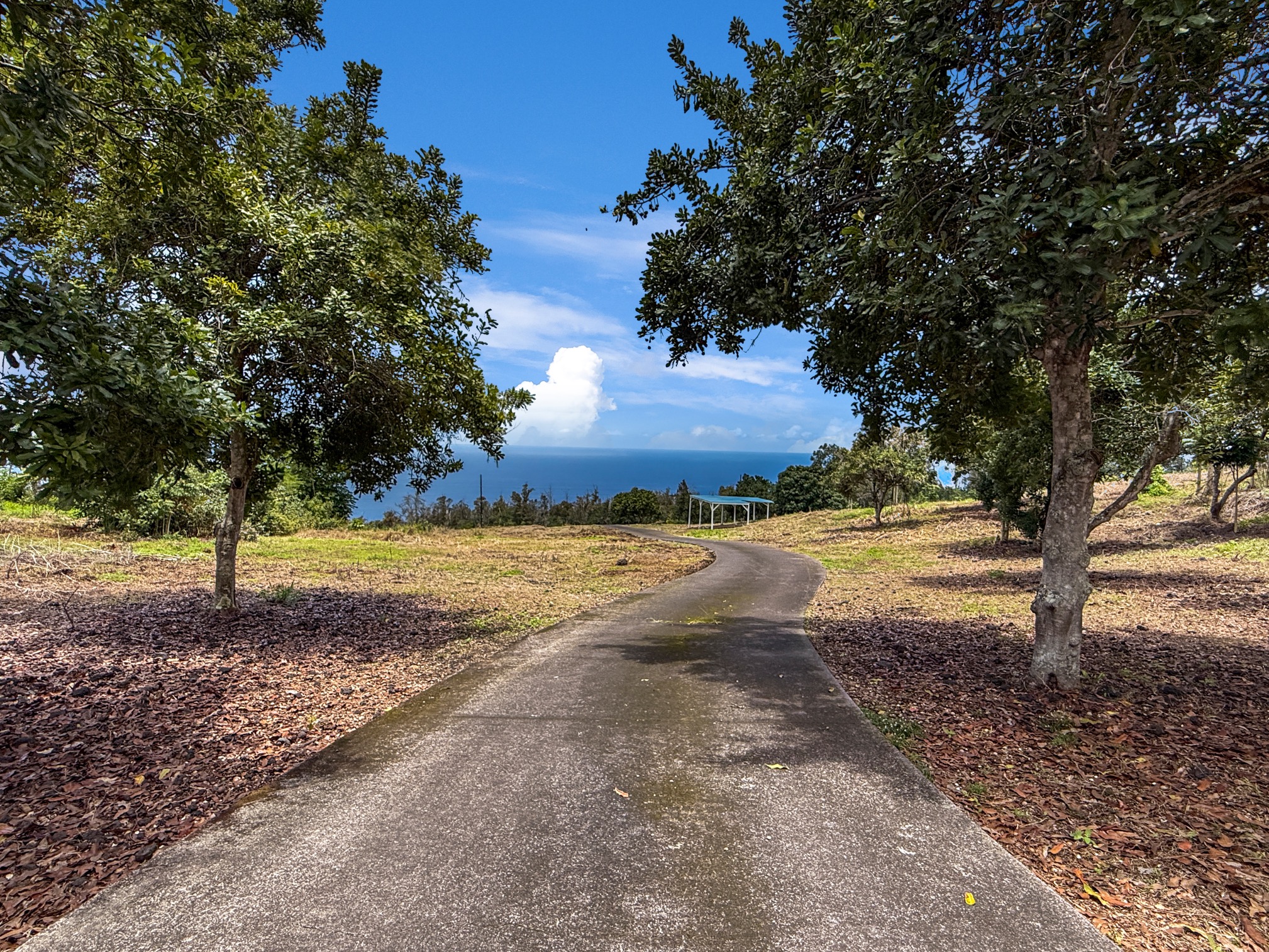 87-2814 Hawaii Belt Road Captain Cook, HI 96704 - Photo 23 of 30