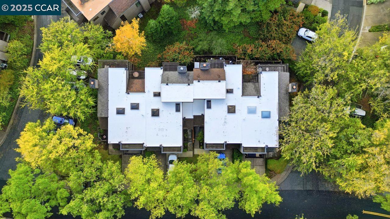 533 Monarch Ridge Drive Walnut Creek, CA 94597 - Photo 38 of 43 an aerial view of residential house with outdoor space and trees all around