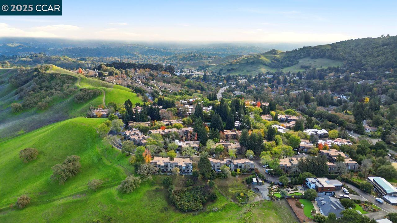533 Monarch Ridge Drive Walnut Creek, CA 94597 - Photo 41 of 43 an aerial view of residential houses with outdoor space and trees