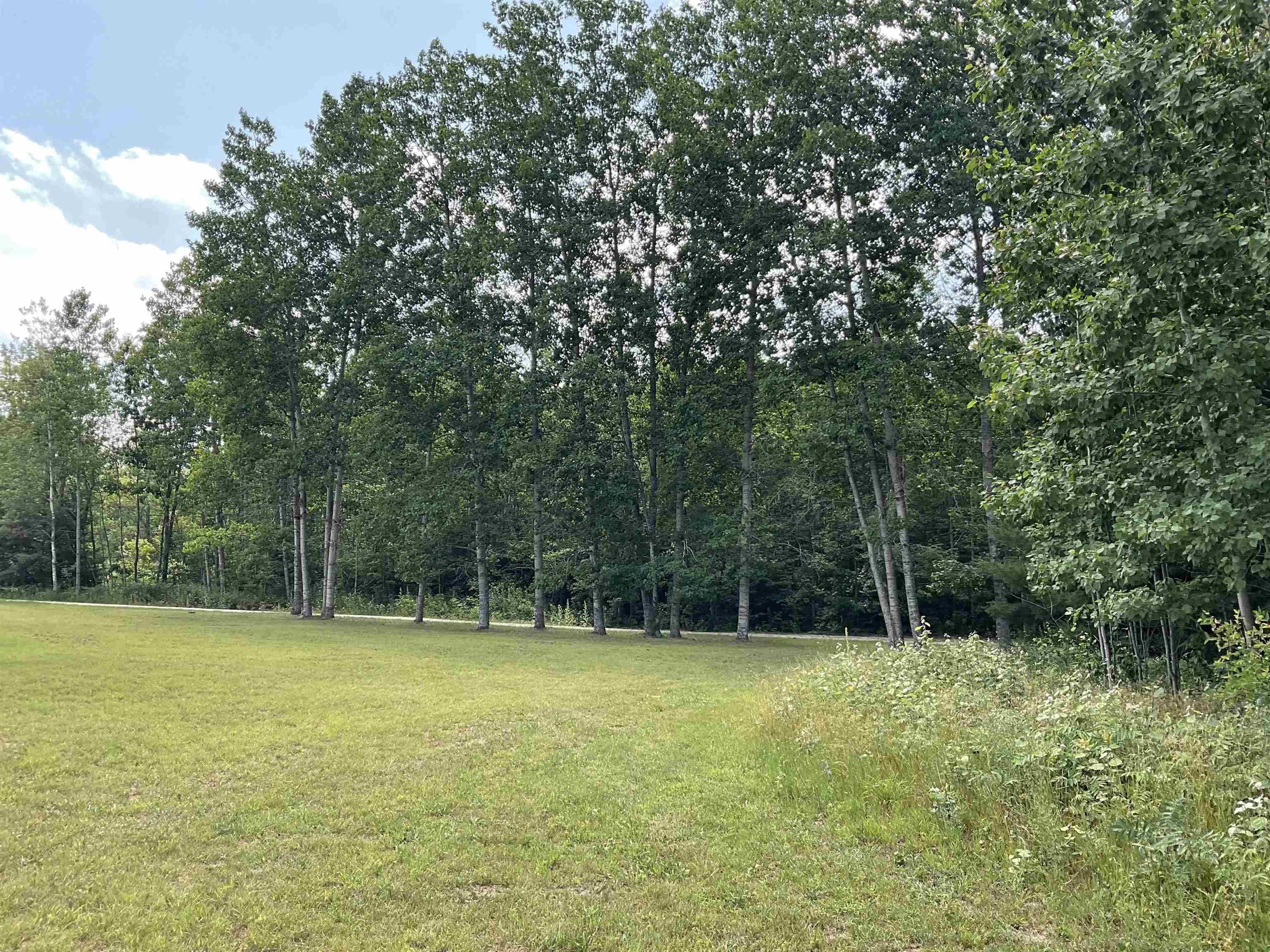 10694 Freeman Road Mesick, MI 49668 - Photo 27 of 39