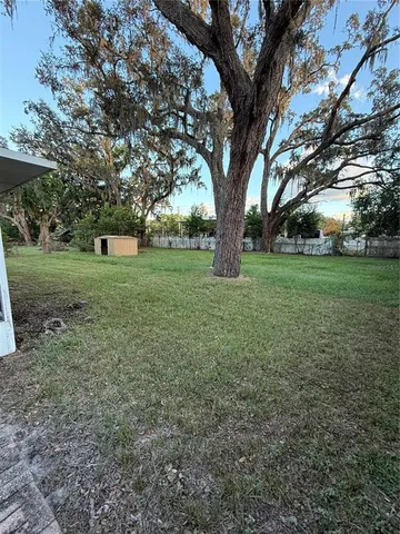 a view of a yard with a tree