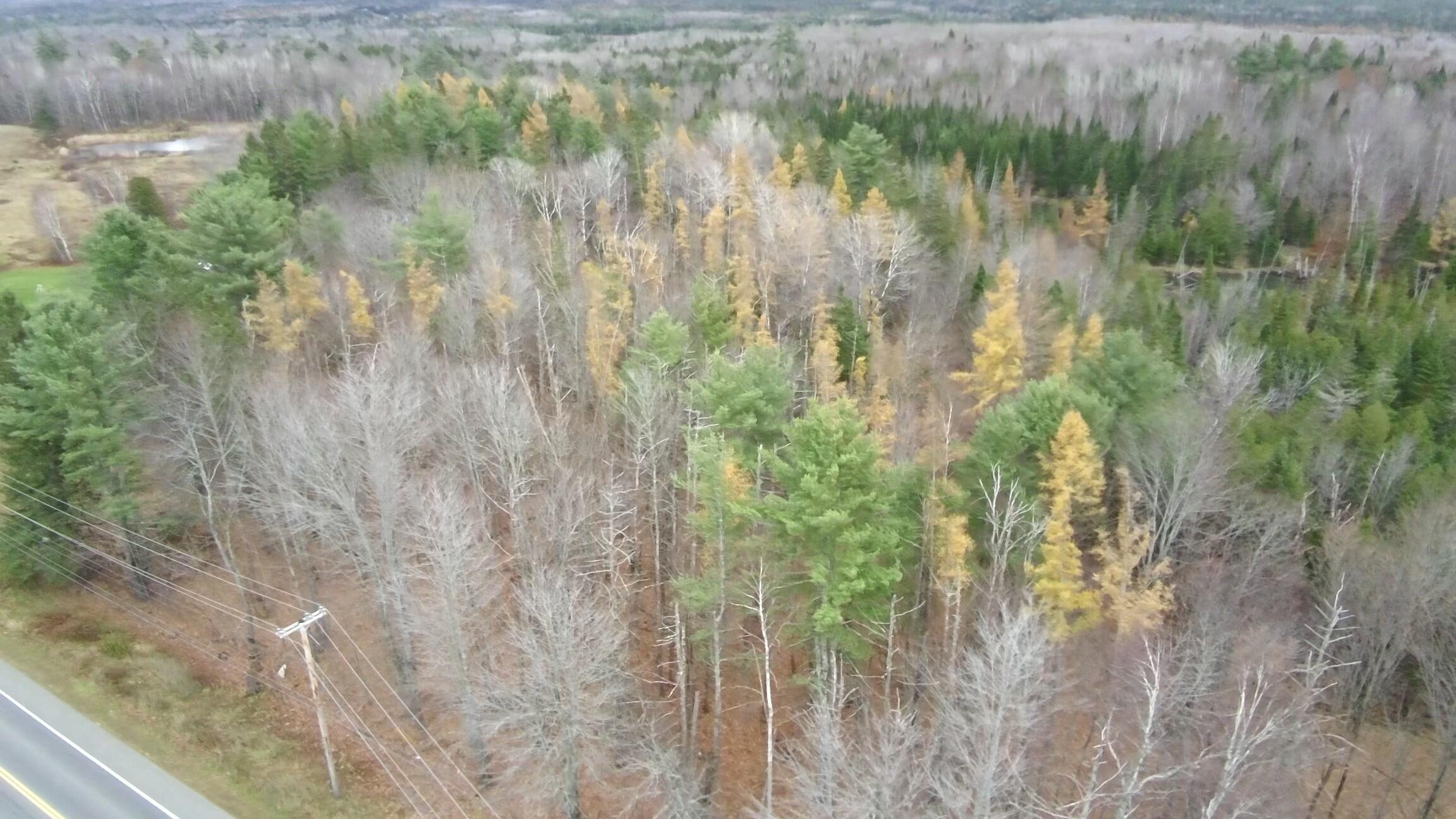 320 Milo Road Sebec, ME 04426 - Photo 1 of 22 FILEPotensicPro4