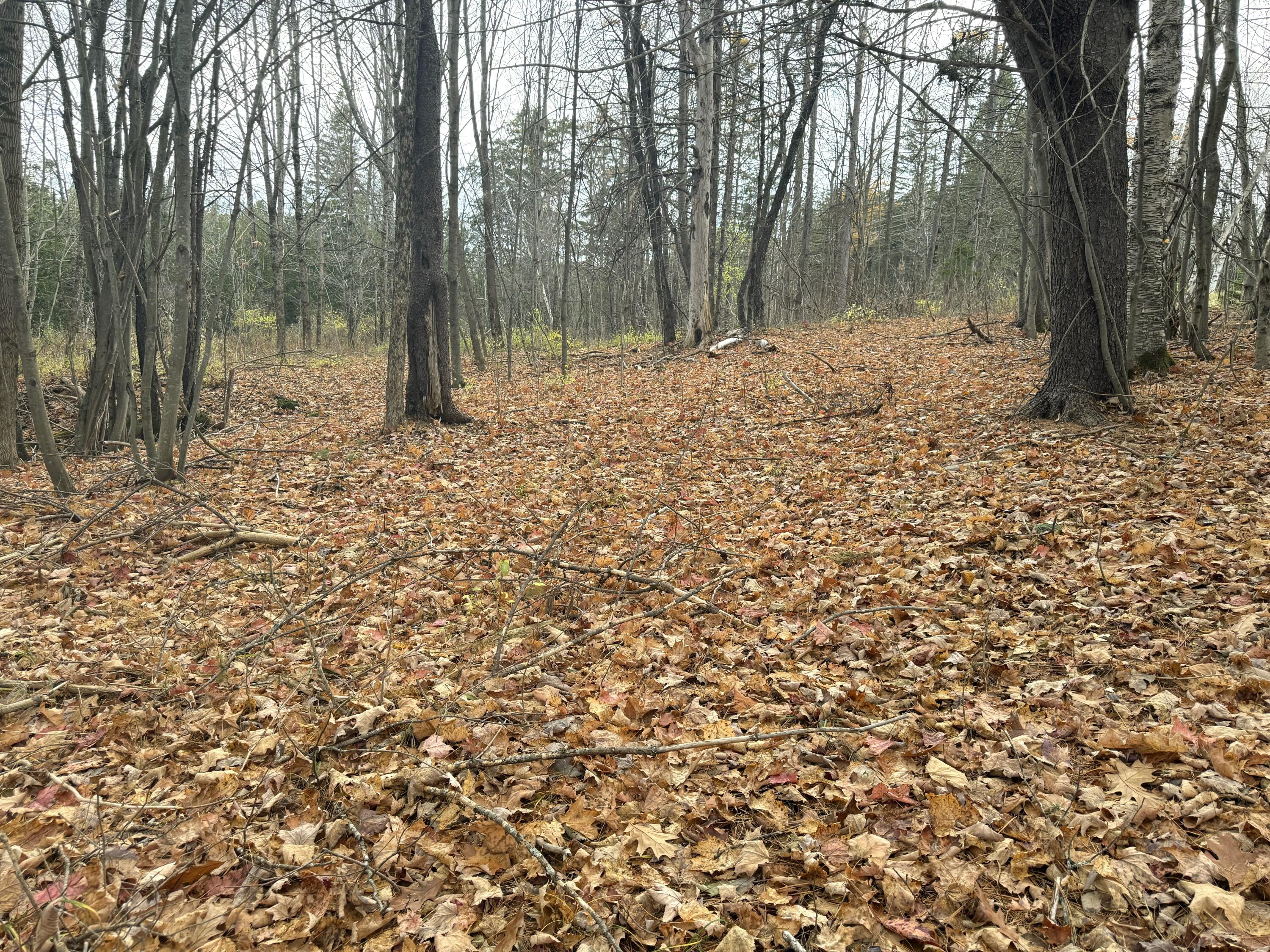 320 Milo Road Sebec, ME 04426 - Photo 13 of 22 IMG_8070