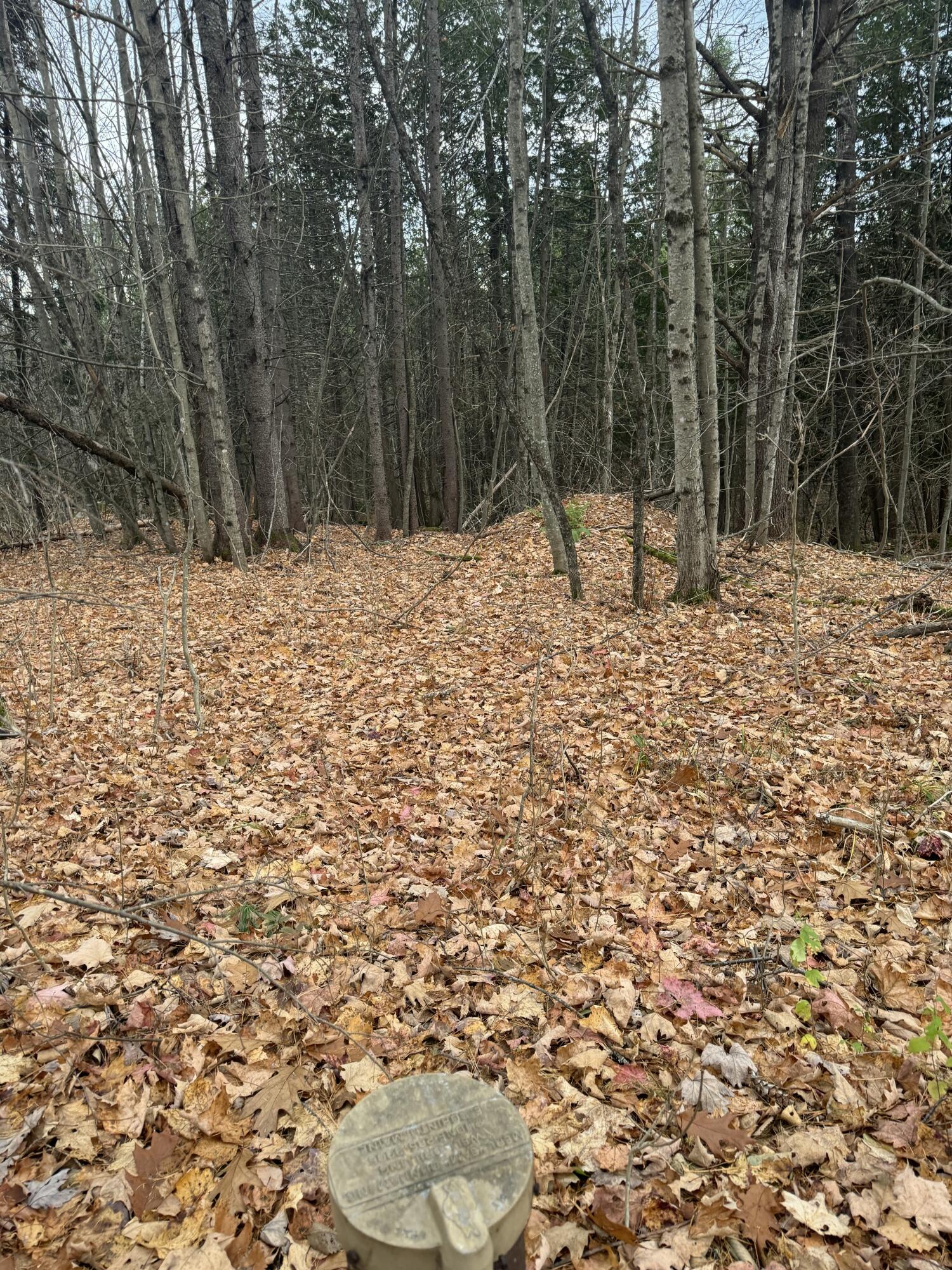 320 Milo Road Sebec, ME 04426 - Photo 14 of 22 IMG_8069