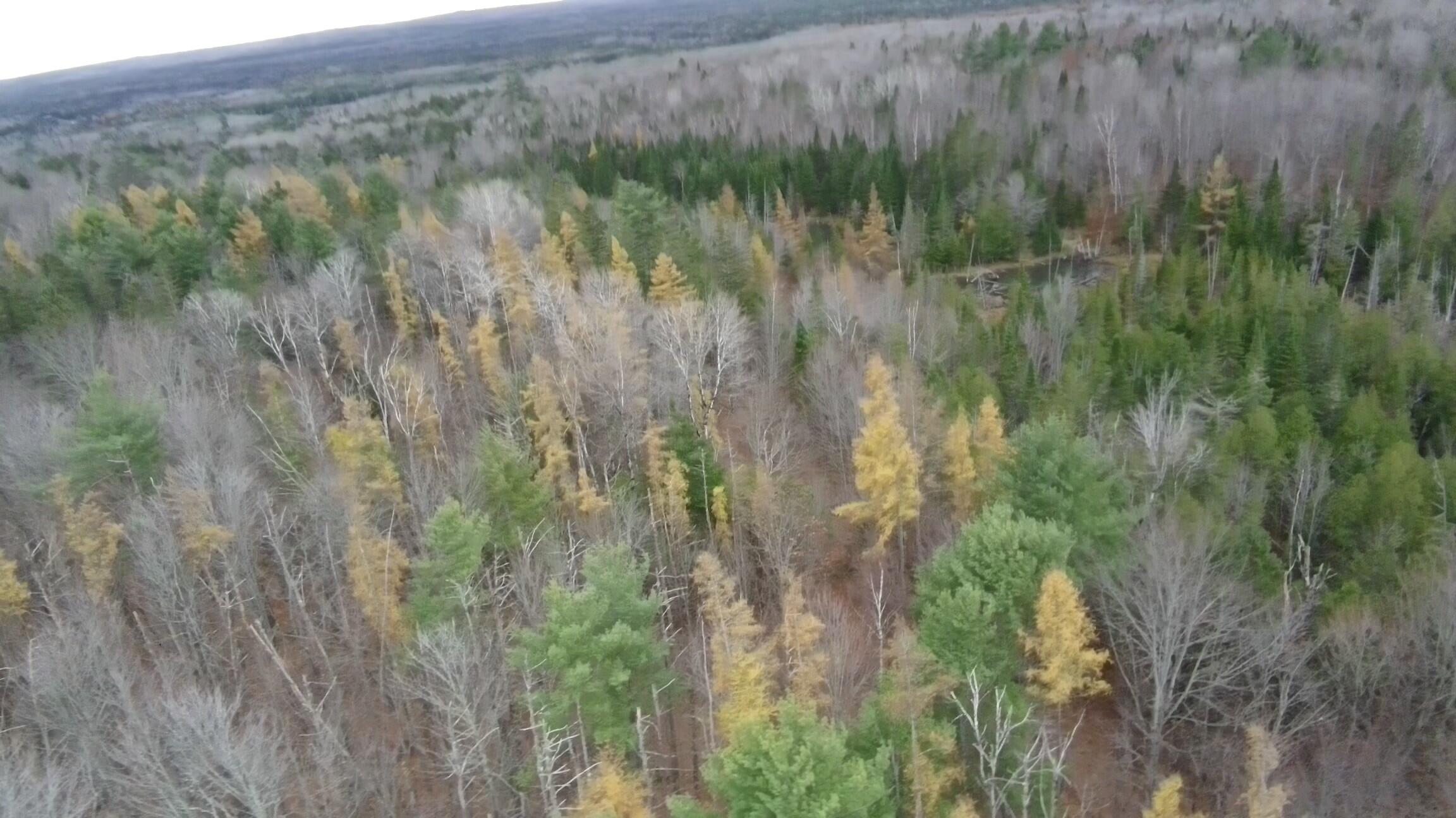 320 Milo Road Sebec, ME 04426 - Photo 19 of 22 FILEPotensicPro3