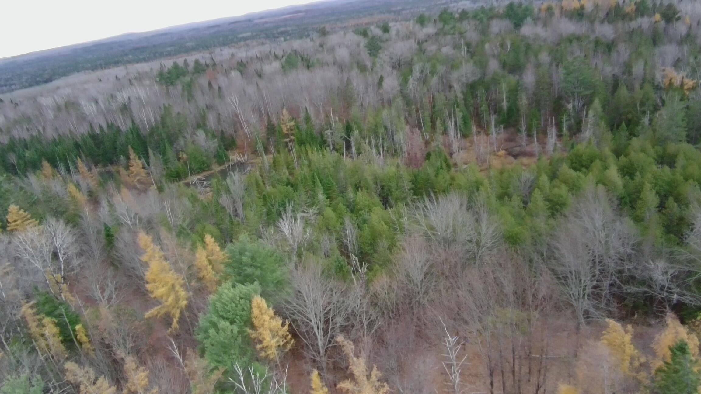 320 Milo Road Sebec, ME 04426 - Photo 20 of 22 FILEPotensicPro2