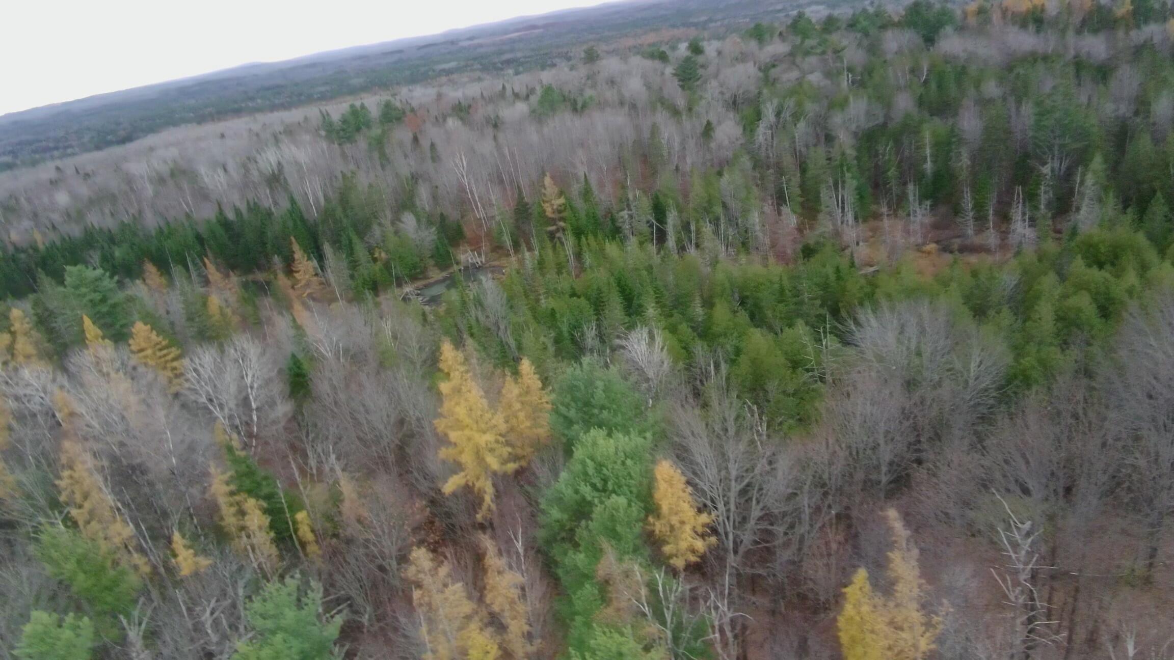 320 Milo Road Sebec, ME 04426 - Photo 2 of 22 FILEPotensicPro1