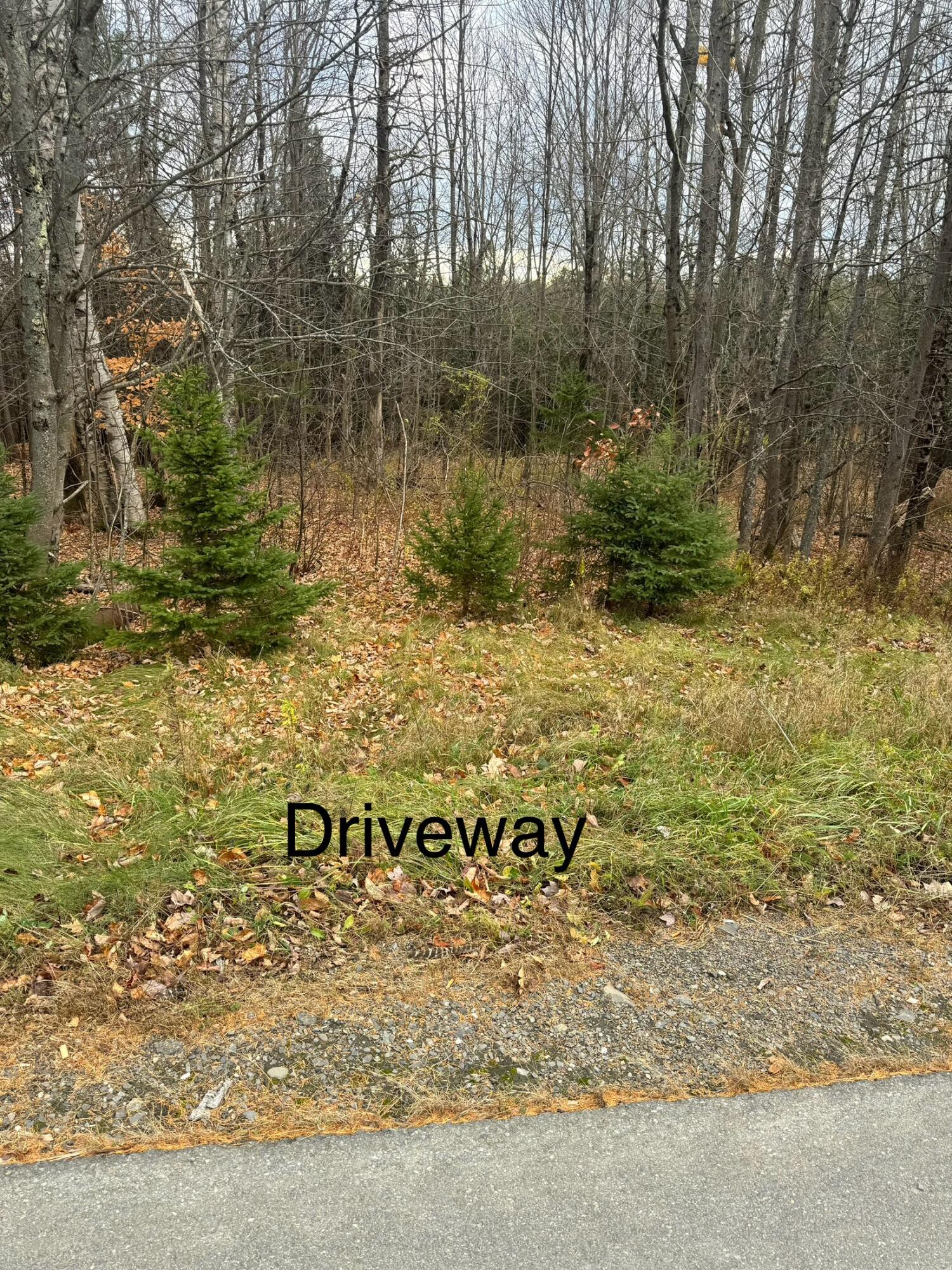 320 Milo Road Sebec, ME 04426 - Photo 3 of 22 IMG_8081