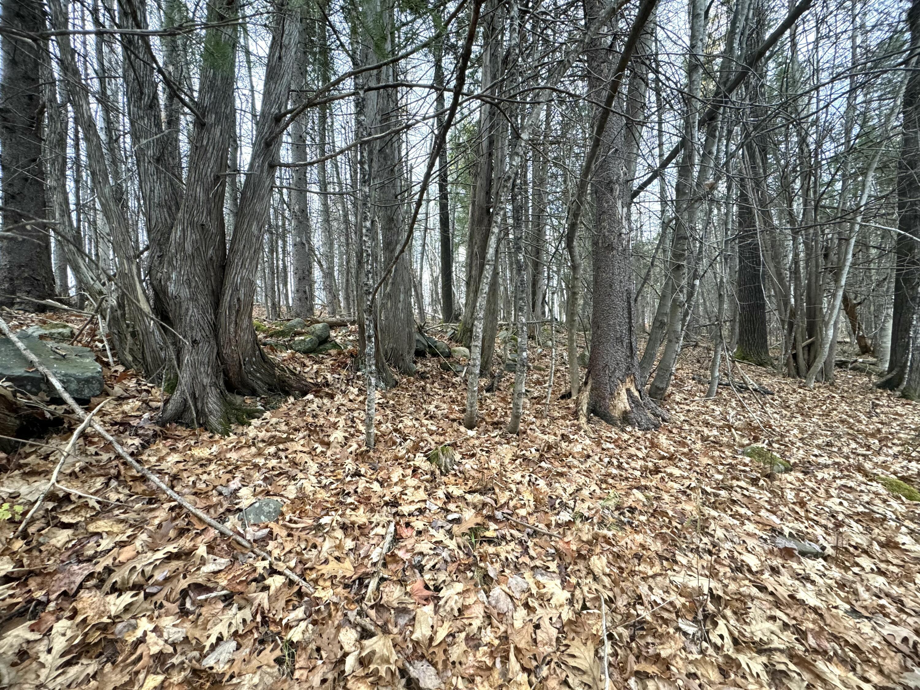 320 Milo Road Sebec, ME 04426 - Photo 4 of 22 IMG_8080