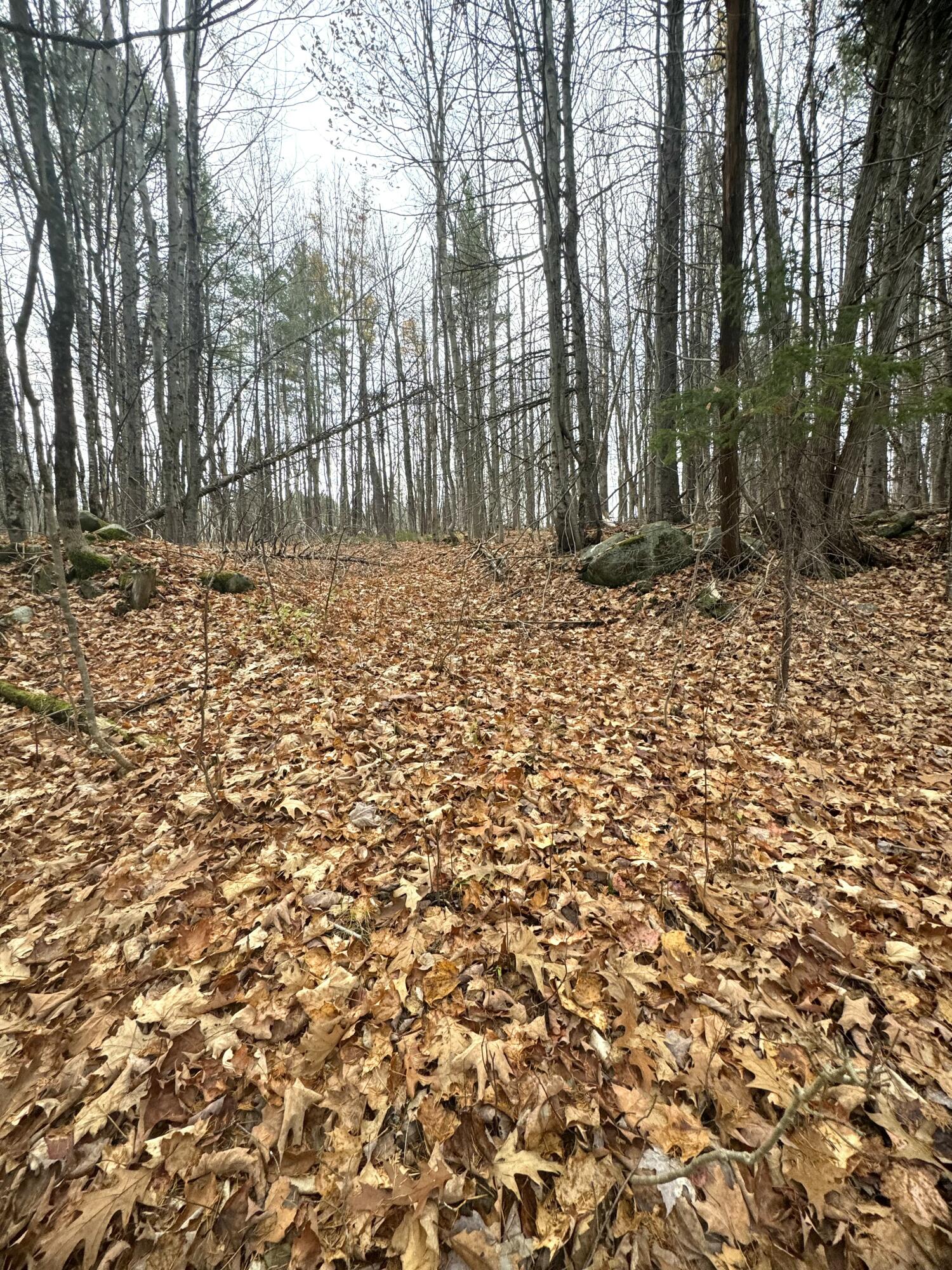 320 Milo Road Sebec, ME 04426 - Photo 5 of 22 IMG_8079