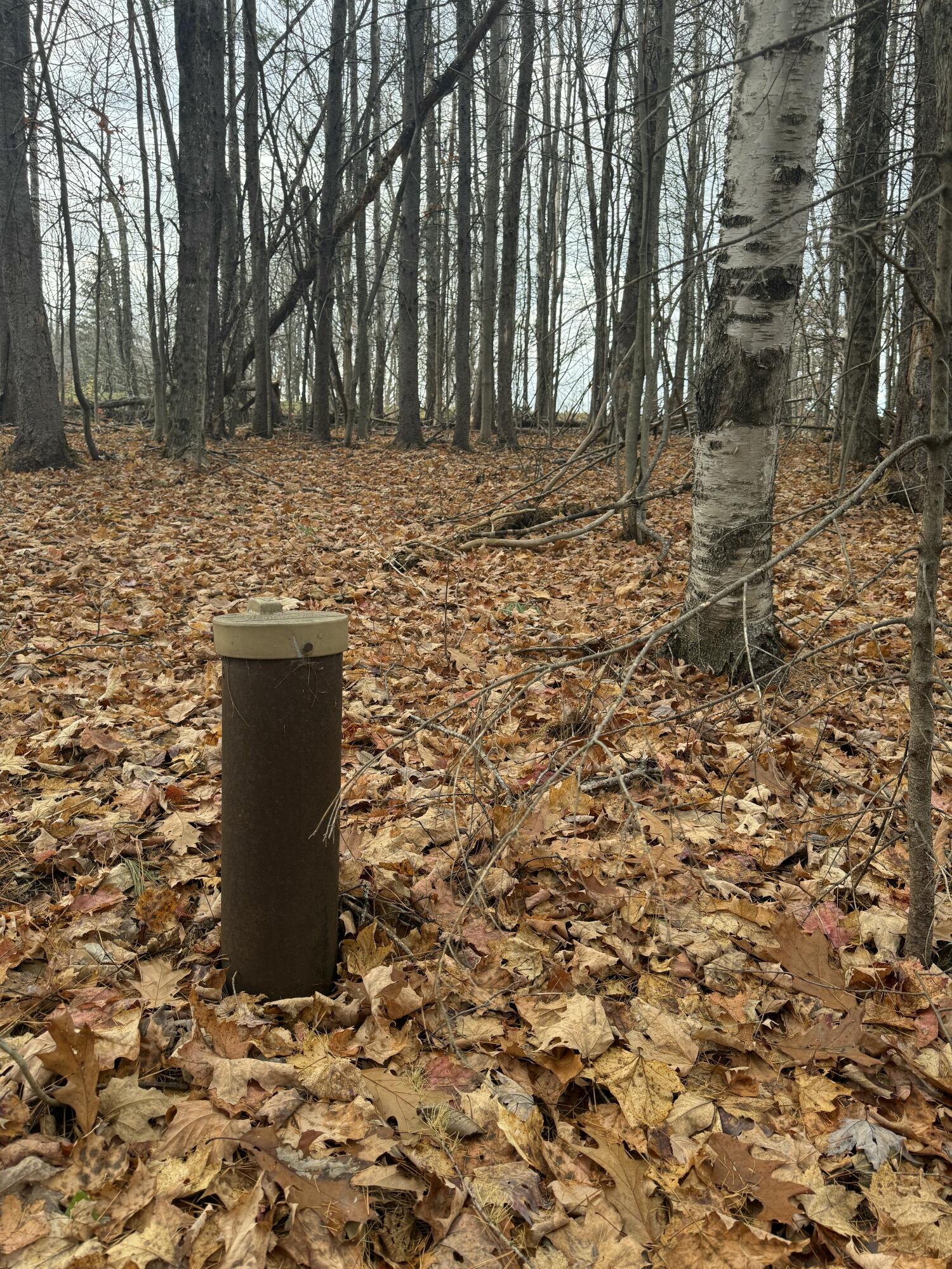 320 Milo Road Sebec, ME 04426 - Photo 7 of 22 IMG_8073