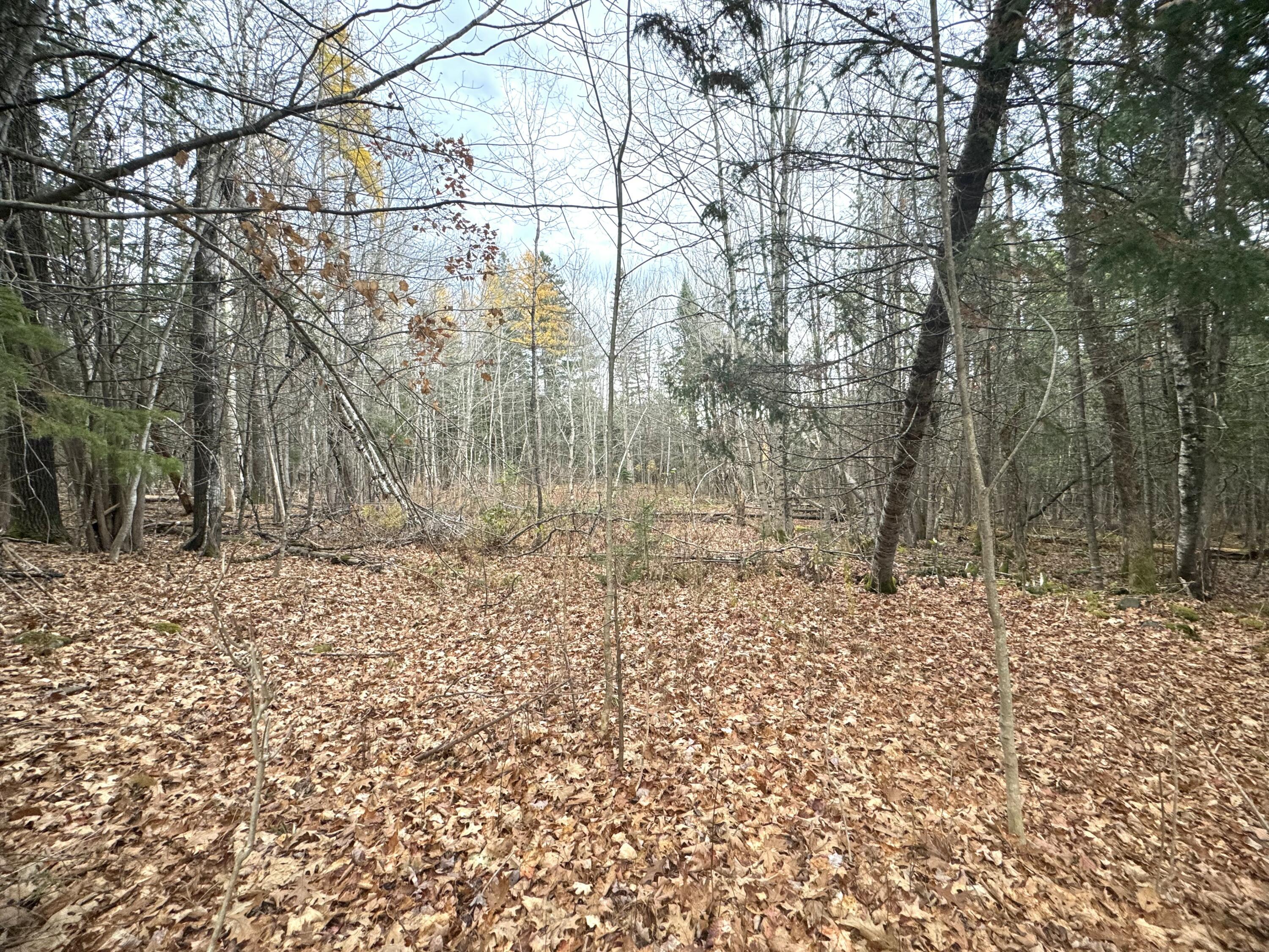 320 Milo Road Sebec, ME 04426 - Photo 8 of 22 IMG_8078