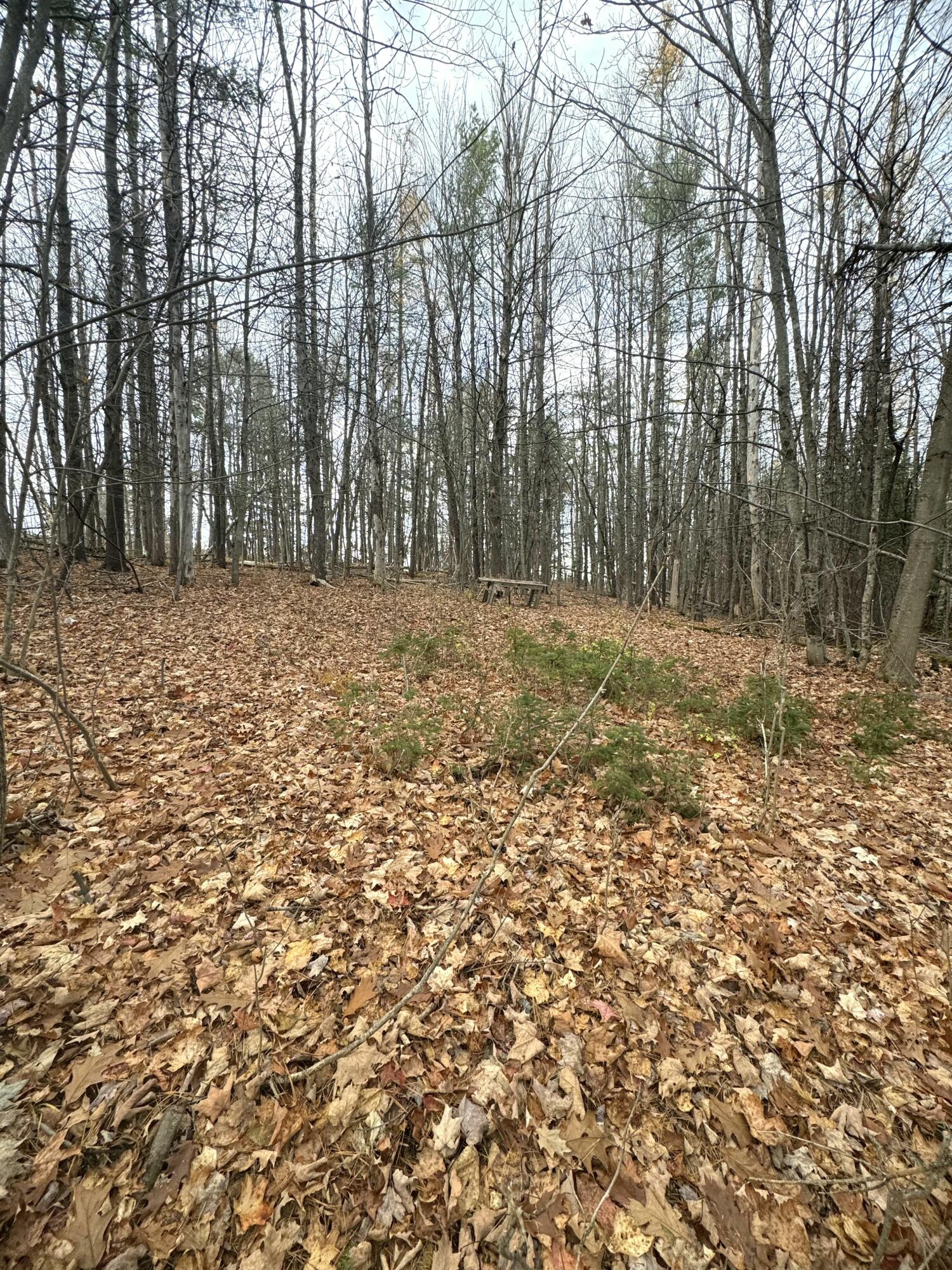 320 Milo Road Sebec, ME 04426 - Photo 10 of 22 IMG_8076