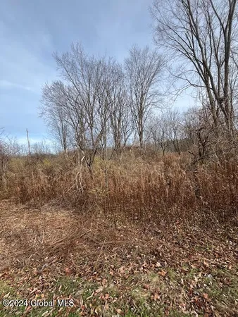 $64,900 | 415 Gage Road, Duanesburg, NY 12053