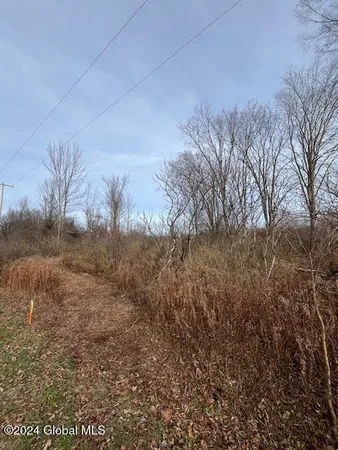 $64,900 | 415 Gage Road, Duanesburg, NY 12053