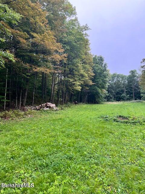 Lot #6 Cascade Street Pittsfield, MA 01201 - Photo 3 of 5 a backyard of a house with lots of green space