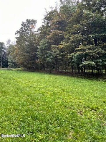 a view of a green yard