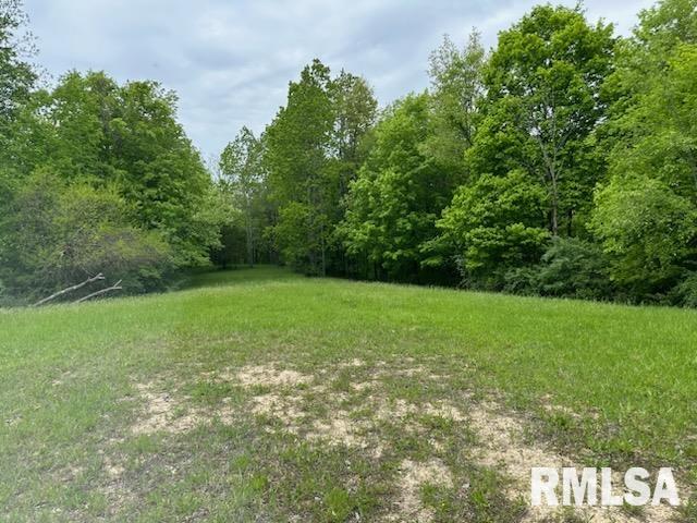 140 Kickapoo Drive Danvers, IL 61732 - Photo 1 of 3 Gallery Image 1