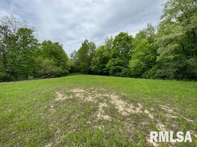 140 Kickapoo Drive Danvers, IL 61732 - Photo 3 of 3 Gallery Image 3