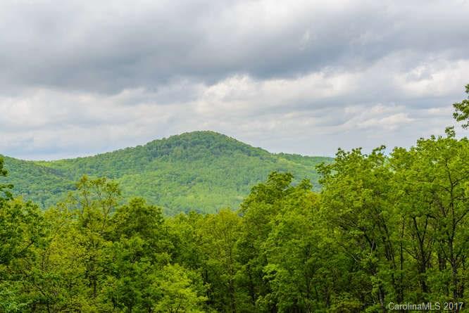 110 Spring Mountain Road Fairview, NC 28730 - Photo 3 of 24 Gallery Image 3