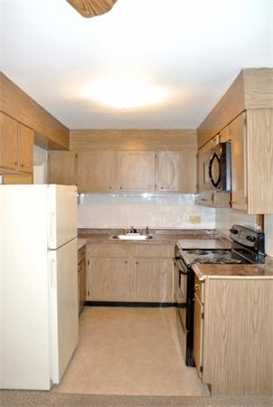 64 Jacqueline Road, Unit 8 Waltham, MA 02452 - Photo 5 of 16