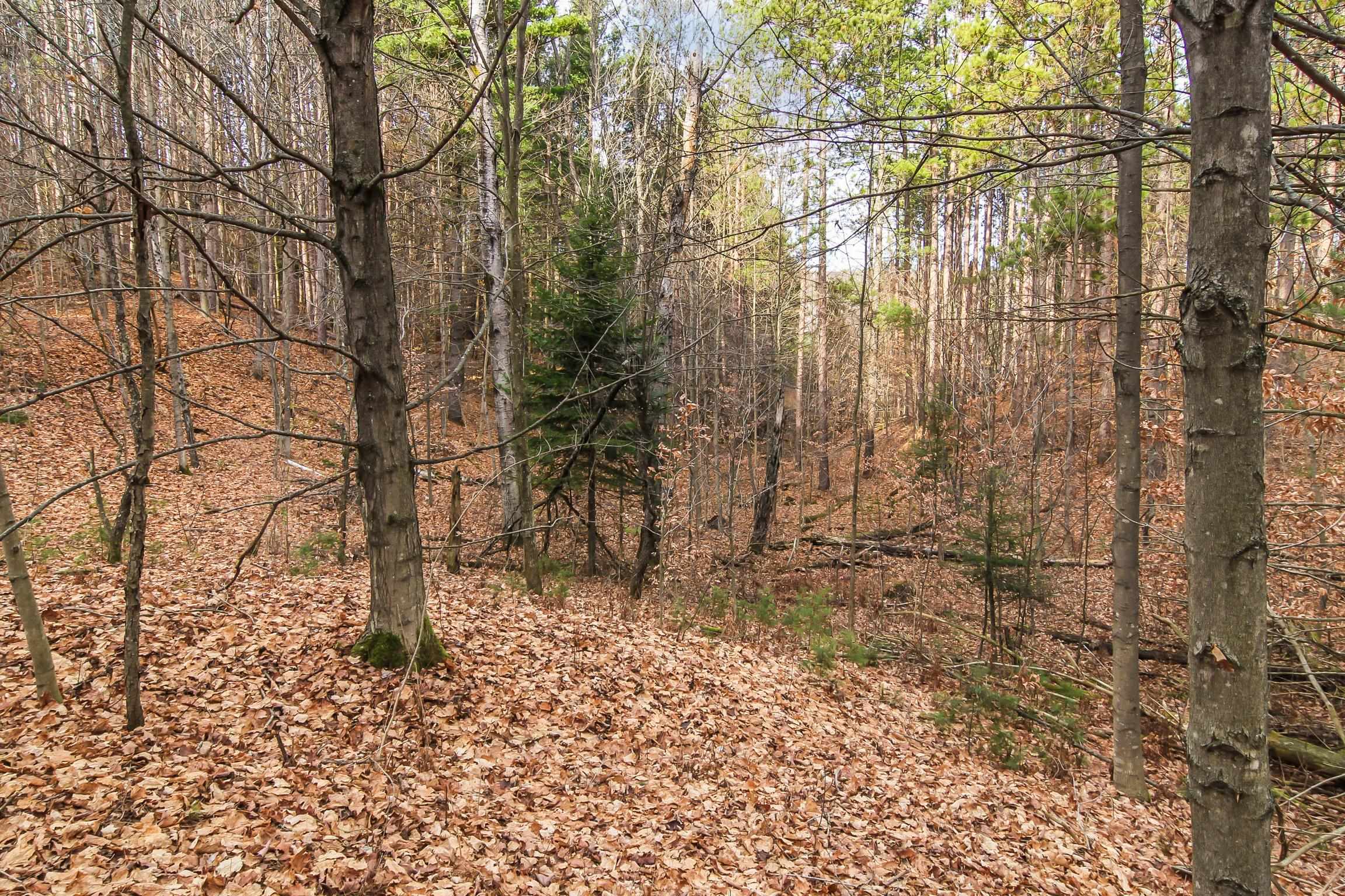 5172 Cedar Valley Road Traverse City, MI 49684 - Photo 16 of 26