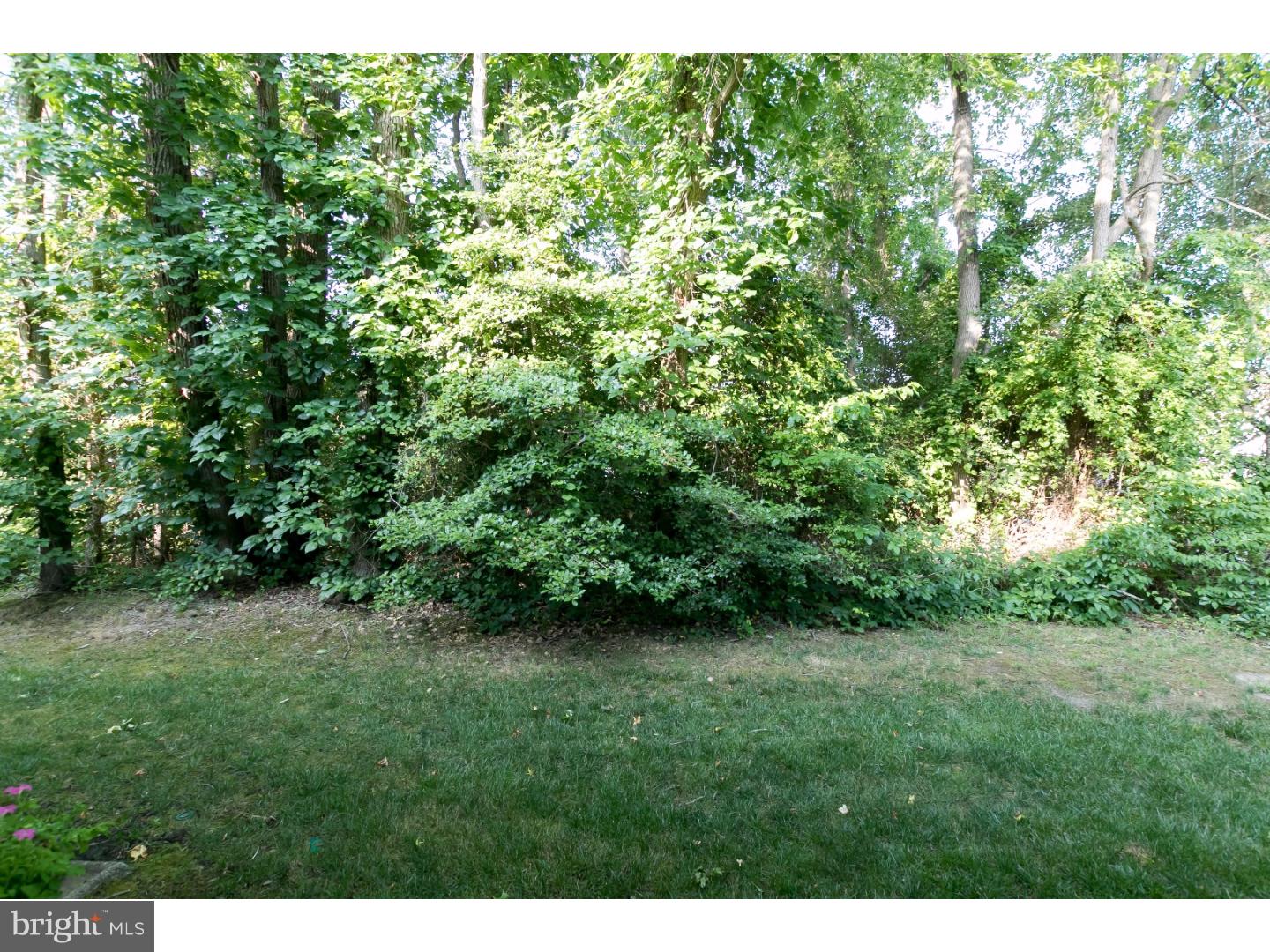 805 Quail Road Evesham, NJ 08053 - Photo 17 of 24