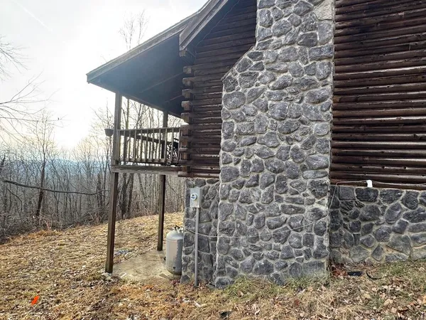 a view of a back yard of the house