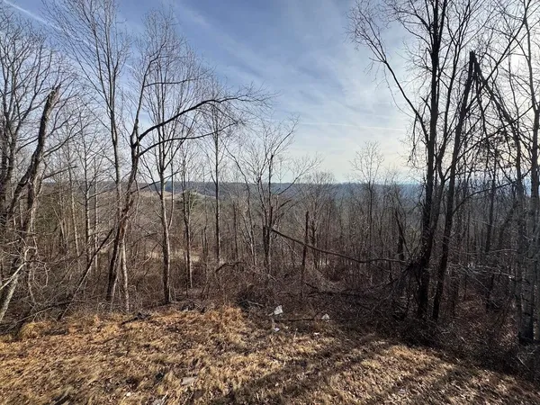 a view of a backyard of the house