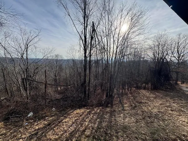 a view of a backyard of the house