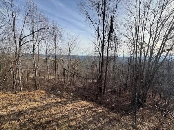 a view of a house with a yard and garage