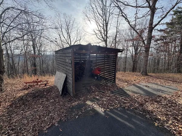a view of backyard with green space