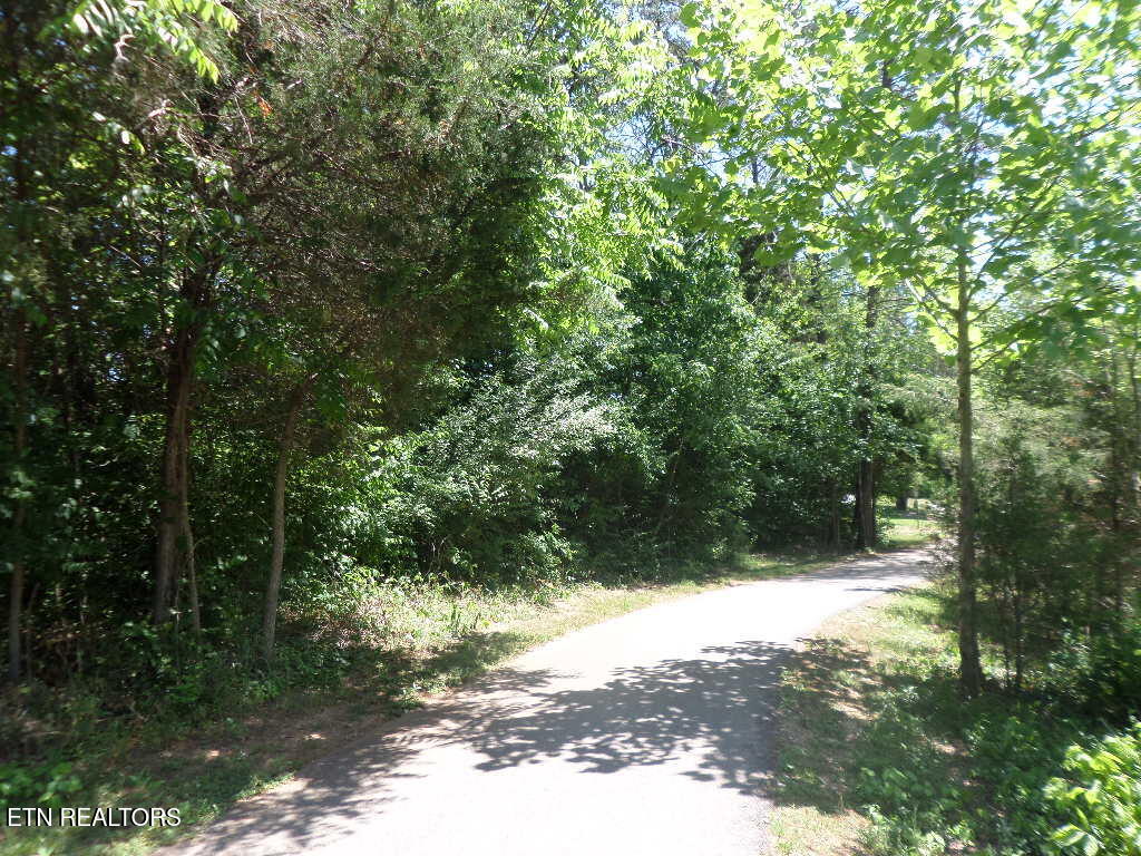 11 Royal Troon Circle Oak Ridge, TN 37830 - Photo 6 of 33 SAM_5627