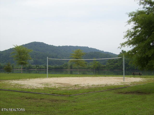 11 Royal Troon Circle Oak Ridge, TN 37830 - Photo 8 of 33 volleyball court