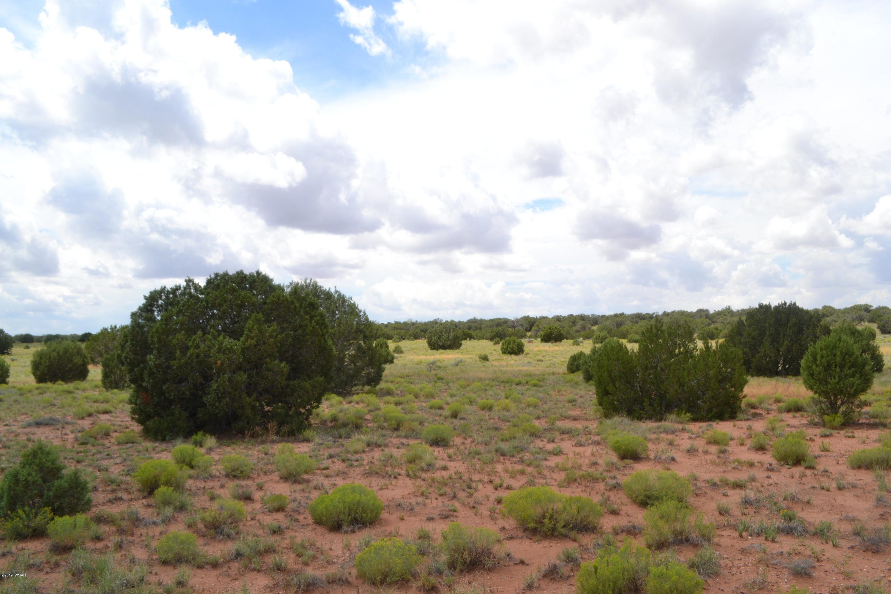 5575 Concho Az 85924 Concho, AZ 85924 - Photo 11 of 13