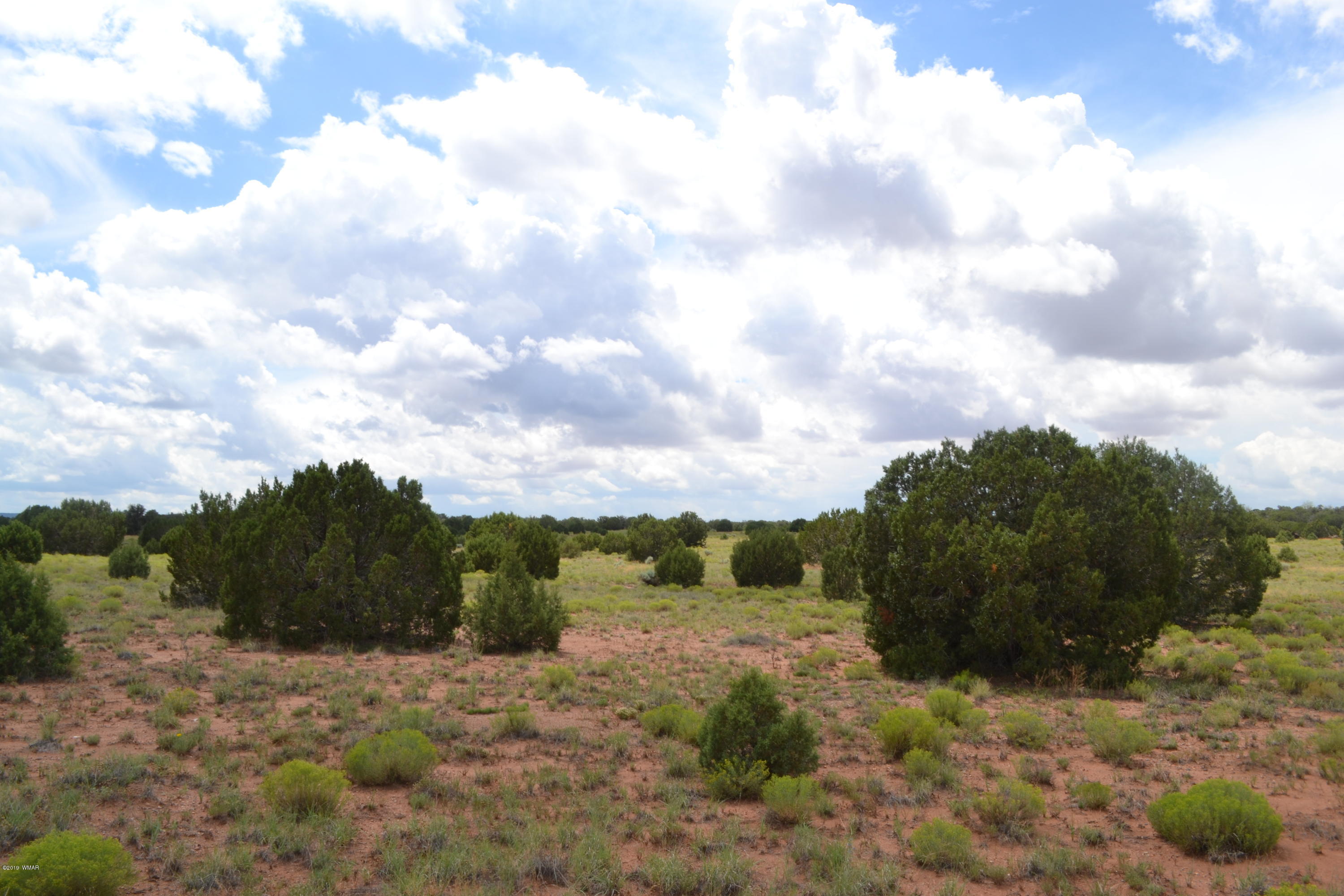 5575 Concho Az 85924 Concho, AZ 85924 - Photo 12 of 13