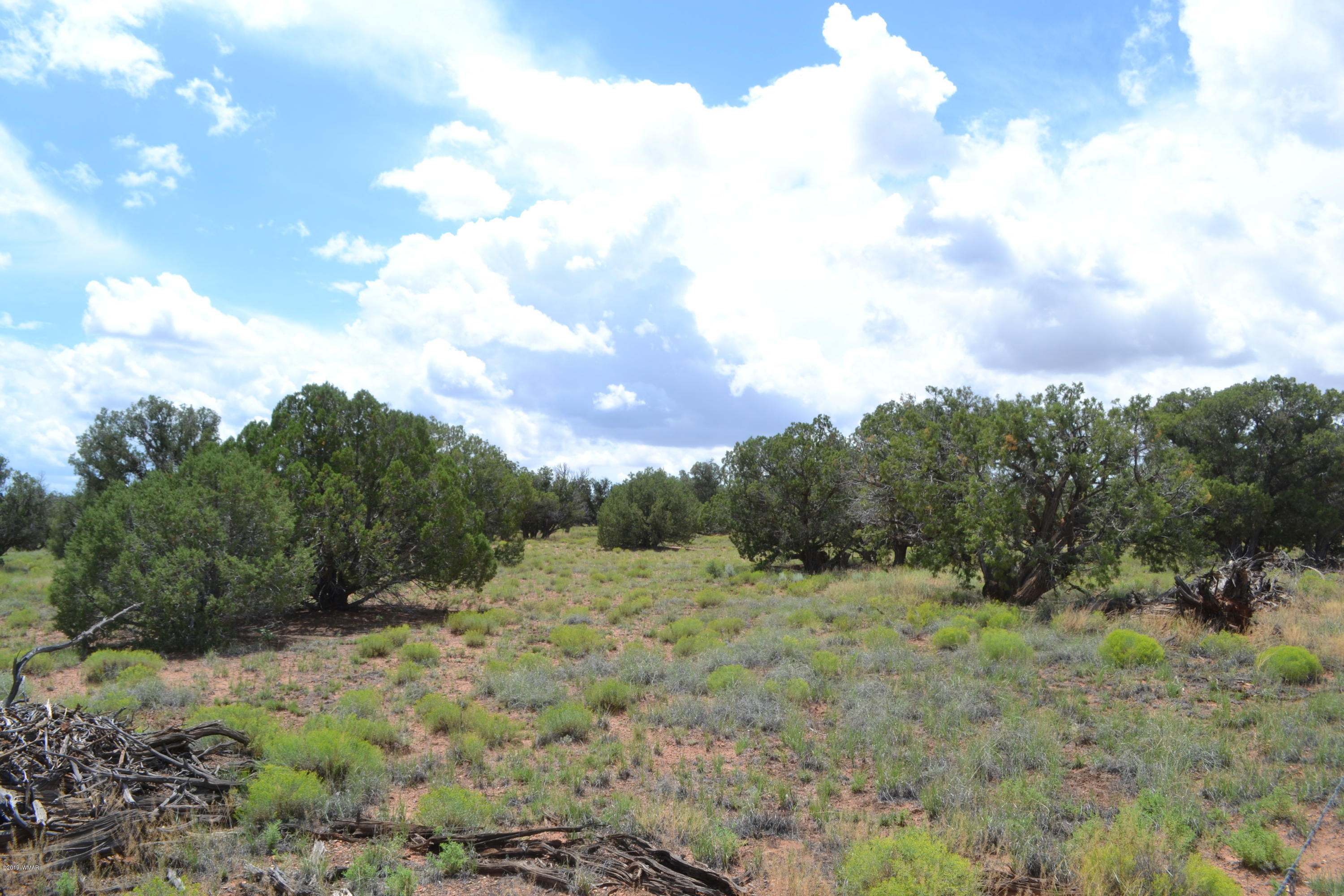 5575 Concho Az 85924 Concho, AZ 85924 - Photo 3 of 13