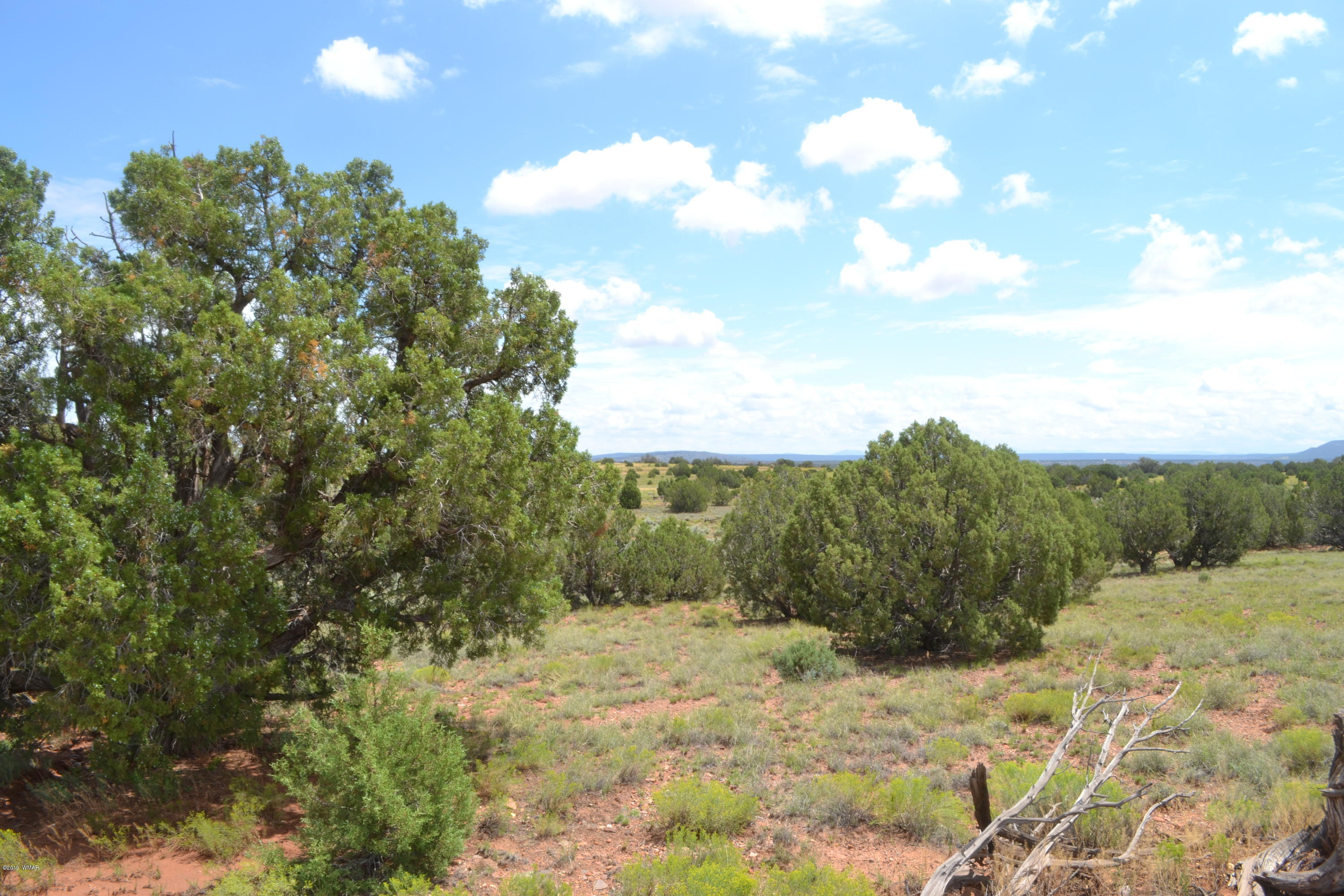 5575 Concho Az 85924 Concho, AZ 85924 - Photo 4 of 13