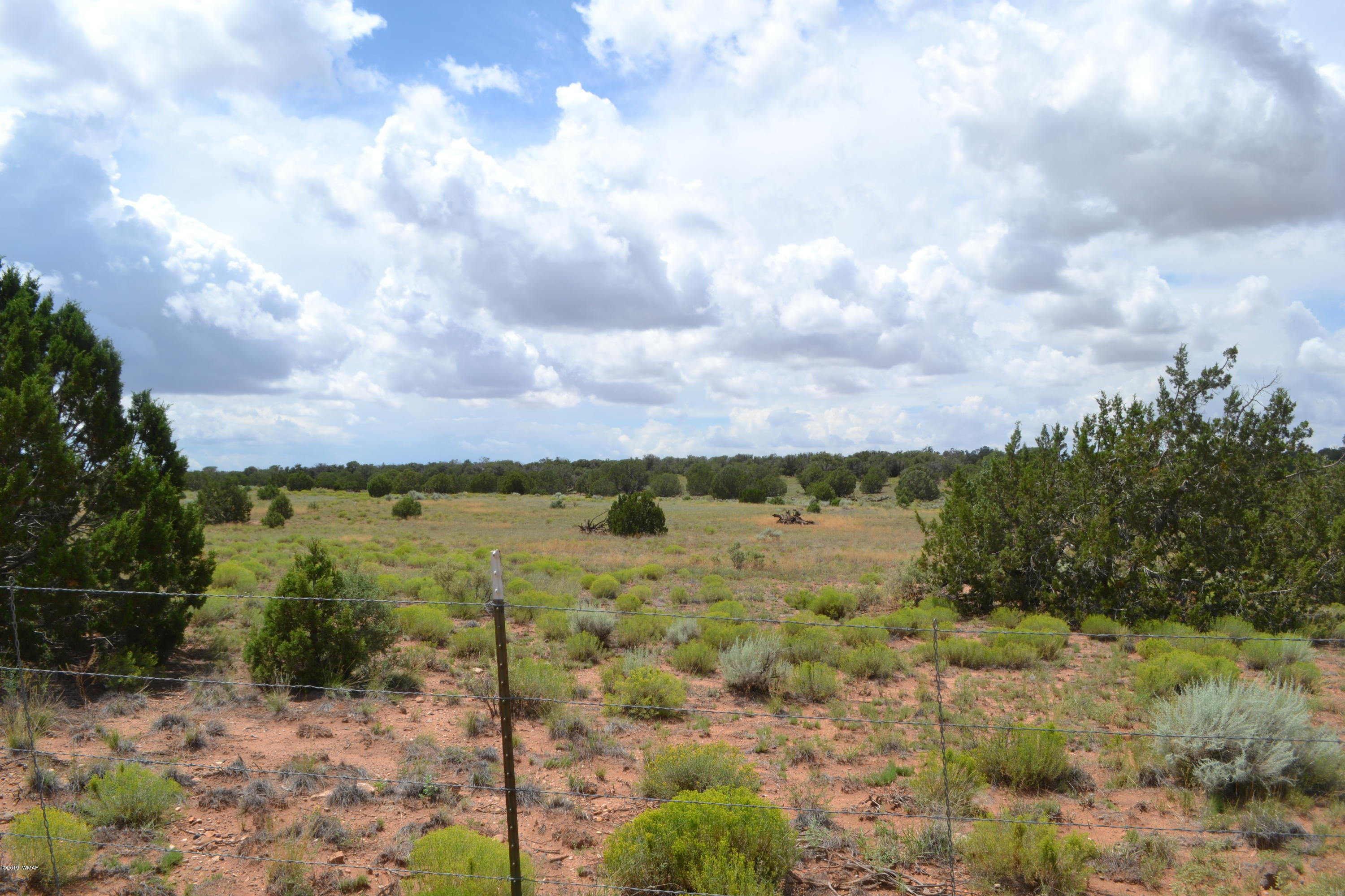 5575 Concho Az 85924 Concho, AZ 85924 - Photo 5 of 13