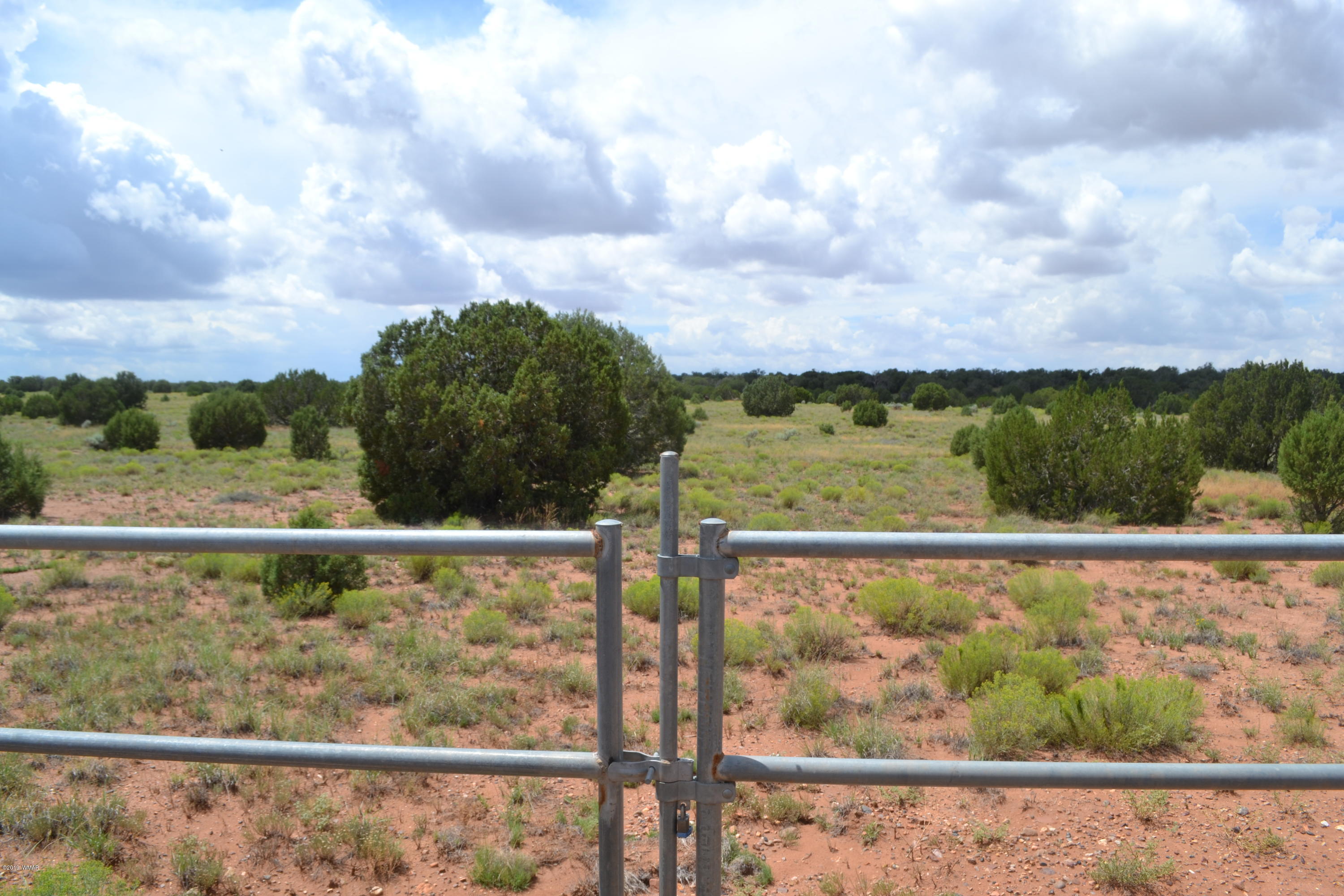 5575 Concho Az 85924 Concho, AZ 85924 - Photo 6 of 13